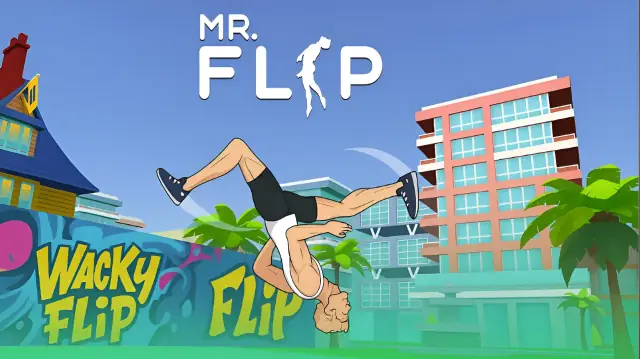 Mr Flip cover